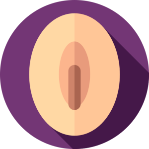 Juguetes para vulva